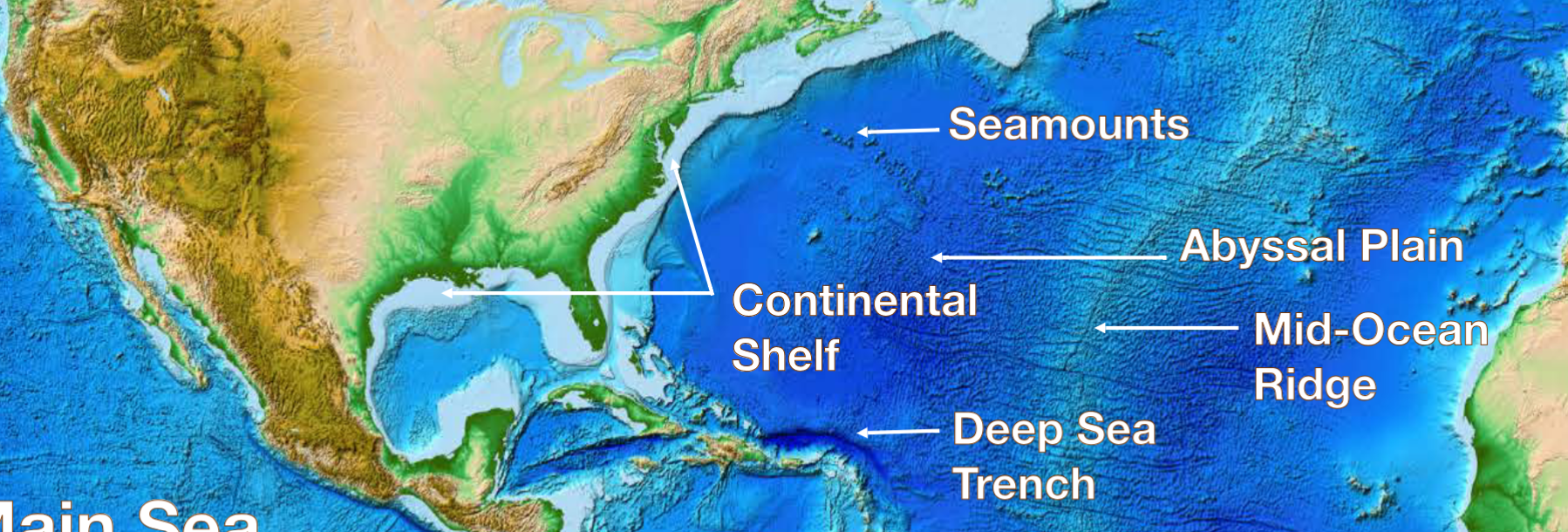 <ul><li><p>continental shelf </p></li><li><p>deep sea trench</p></li><li><p>mid-ocean</p></li><li><p>ridge </p></li><li><p>abyssal plain seamounts</p></li></ul><p></p>