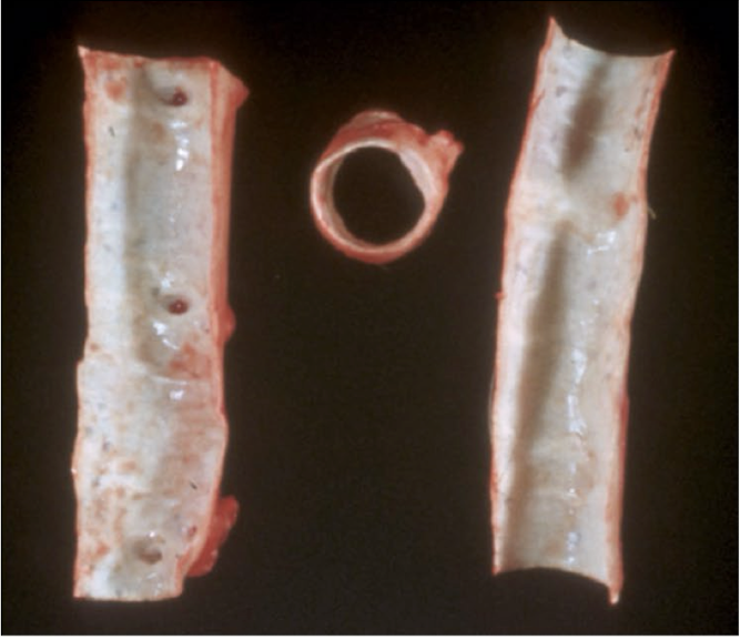 <p>What is this showing?</p>