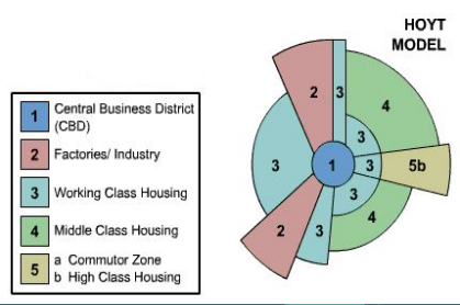 <p>a model of a city's internal organization, developed by Homer Hoyt, that focuses on transportation and communication as the drivers of the city's layout and organizes residential areas as wedges radiating outward from a central business district</p><ul><li><p>Homers Hoyt, 1930s</p></li><li><p>Based on Chicago, IL</p></li><li><p>City’s organization focused on transportation and communication as determining factor for city’s layout; wedges</p></li><li><p>5 Zones (center - outward):</p><ul><li><p><strong>CBD</strong> → Downtown, high density</p></li><li><p><strong>Manufacturing and industry</strong> → SOME lower-class housing, followed a major route of transportation (railway, road, canal, harbor) area for FAST and CHEAP transport of products</p></li><li><p><strong>Low-Income Residential</strong> → Working-class housing, along manufacturing area so people get to their jobs, ethnic neighborhoods from immigration</p></li><li><p><strong>Moderate-Income Residential </strong>→ Middle-class housing, suburbs</p></li><li><p><strong>High-Income Residential</strong> → Upperclass housing, along transport line, extends outward from CBD</p></li></ul></li><li><p>Poor are in third zone, following industrial sector where they worked. Rich are in fifth sector</p></li></ul>