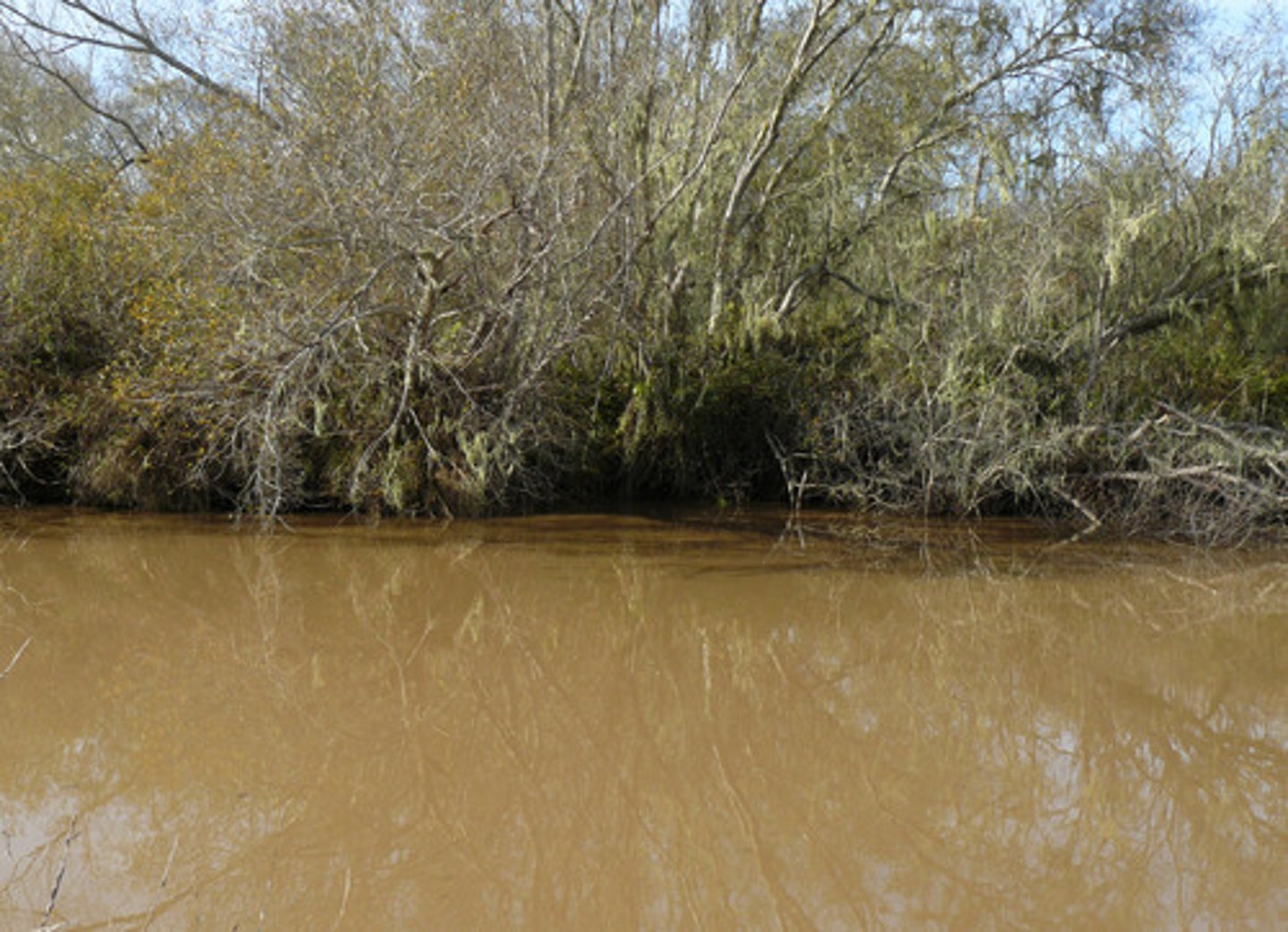 <p>- Increased turbidity</p><p>- Decreased light penetration</p><p>- Decreased photosynthesis</p><p>- Decreased visibility for visual predators</p><p>- Can clog fish gills if heavy enough</p>