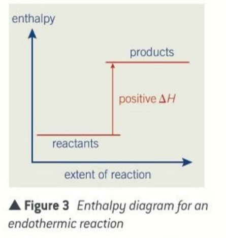 <p>products have more enthalpy than the reactants </p>
