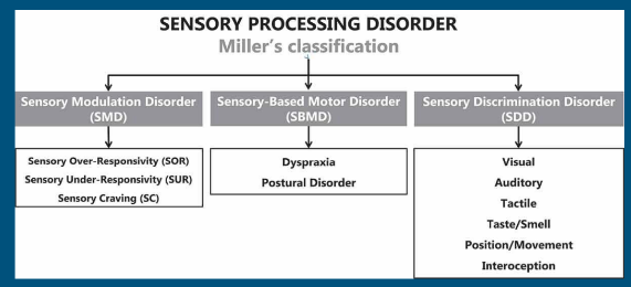 <p>Difficulty interpreting specific characteristics of sensory stimulation and affects any sensory system </p>