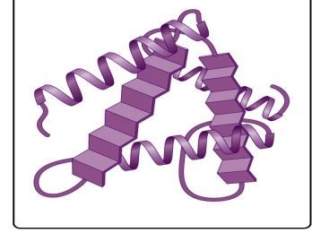 <p><span style="font-family: Source Sans Pro, sans-serif">Protein structure represented by alpha-helices and beta-sheets.</span></p>