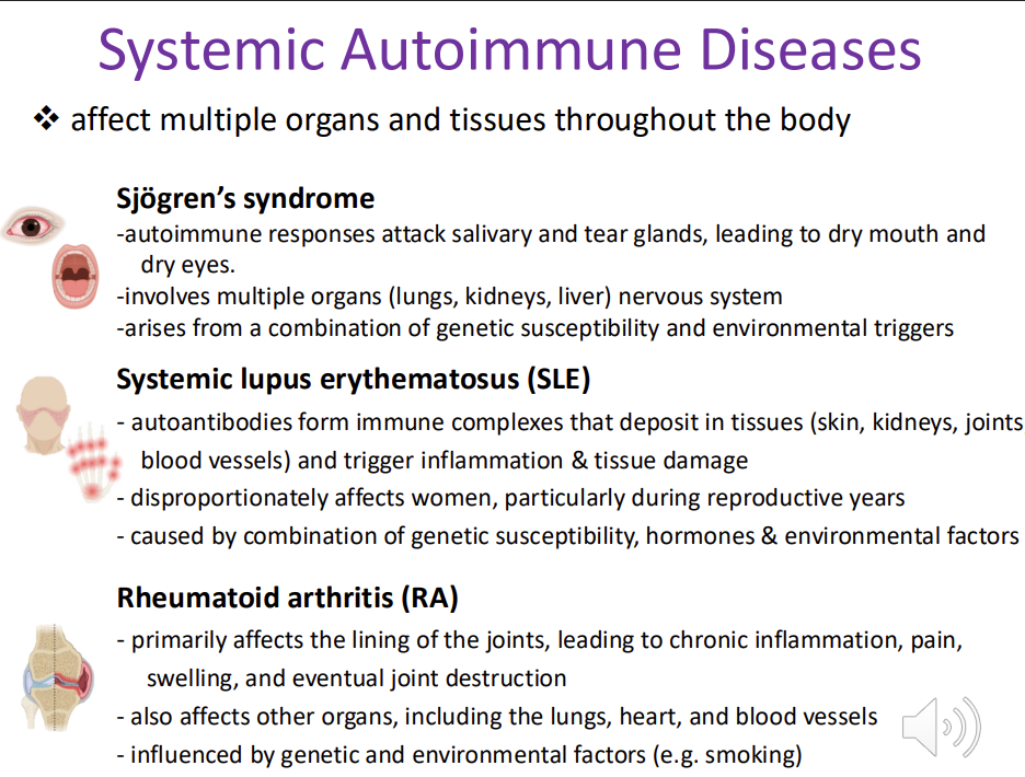 <p><em>affect multiple organs and tissues throughout the body</em></p><ol><li><p><strong><u>Sjögren’s syndrome</u> -</strong>autoimmune responses attack <strong>salivary and tear glands</strong>, leading to <em>dry mouth and dry eyes. </em>-involves <strong>multiple organs </strong><em>(lungs, kidneys, liver</em>) nervous system -arises from a combination of genetic susceptibility and environmental triggers - fatigue, joint pain and <strong>swelling of the salivary glands</strong> </p></li><li><p><strong><u>Systemic lupus erythematosus (SLE) </u></strong>- autoantibodies form immune complexes that deposit in tissues (<strong>skin, kidneys, joints, blood vessels)</strong> and trigger<strong> inflammation &amp; tissue damage</strong> - disproportionately affects <strong>women</strong>, particularly during reproductive years - caused by combination of genetic susceptibility, hormones &amp; environmental factors - <em>joint pain, fatigue, rash </em></p></li><li><p><strong><u>Rheumatoid arthritis (RA)</u></strong> - primarily affects the <strong>lining of the joints/synovium, </strong>leading to chronic inflammation, pain, swelling, and eventual joint destruction - also affects other organs, <strong>including the lungs, heart, and blood vessels -</strong> influenced by genetic and environmental factors (e.g. smoking) -<em> fatigue, amenia and nodules under the skin </em></p></li></ol><p></p>