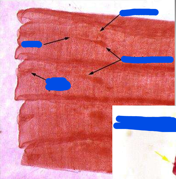 <p>spp</p><p>parts</p>