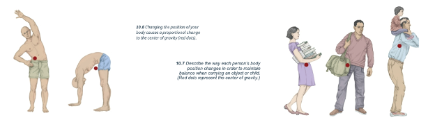 <p>▹ Center of mass/gravity –</p>