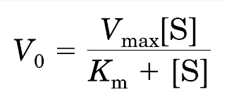 <p>double the enzyme concentration → Vmax doubles, but Km does not change</p><p> V0 is half-maximal at a concentration of S that is equal to Km</p>