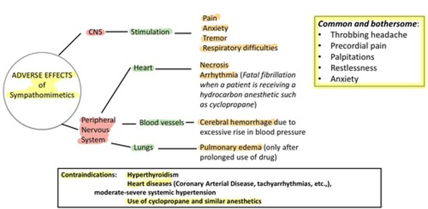 <p>They mimic the effects of the sympathetic nervous system by stimulating adrenergic receptors.</p>