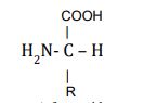 this structure describes?