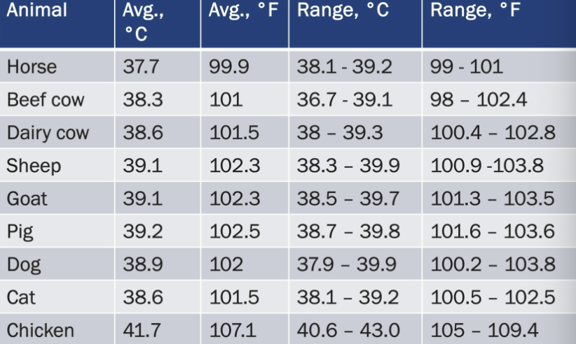 <p><strong>97.7 - 103.1 F</strong></p><ul><li><p>Core vs. Rectal/Skin Temperature</p><ul><li><p><strong>Rectal Temp:</strong> represents a true steady state of temperature because it reaches equilibrium more slowly </p></li><li><p><strong>Core Temp: </strong><em>“deep body temp”</em>; higher than the temperature of the limbs or even higher than the temperature observed rectally </p></li></ul></li><li><p><strong><u>Factors:</u></strong></p><ul><li><p>exercise</p></li><li><p>time of day</p></li><li><p>ambient temperature</p></li><li><p>digestion</p></li><li><p>hydration </p></li></ul></li></ul><p></p>