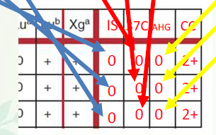 knowt flashcard image