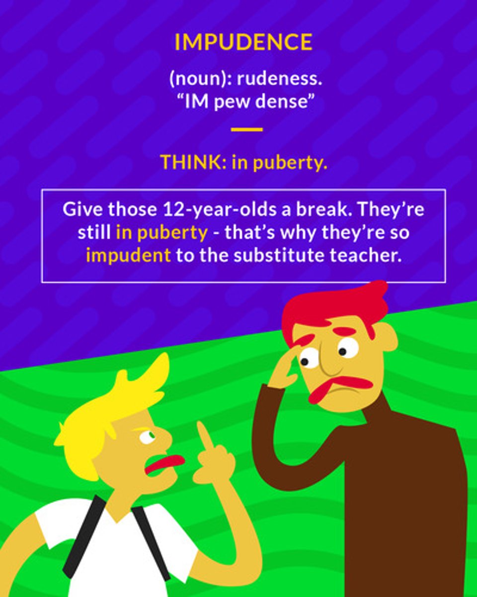 <p>(noun) rudeness</p>