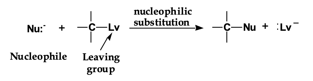 <p><span><span>draw the arrows</span></span></p>
