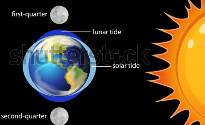 <p>when moon and sun at 90 degrees </p>