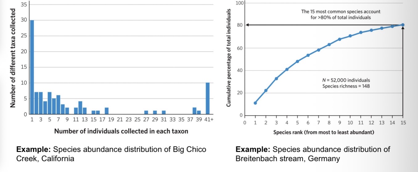 <ul><li><p>a few species account for most individuals; most species can be considered rare.</p></li><li><p>The struggle is with the rare species: I will find a common butterfly, but will I also find a rare one</p></li></ul><p></p>