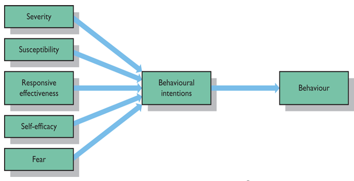 <p>Severity, susceptibility, responsive effectiveness, self efficacy and fear affect behaviour</p>