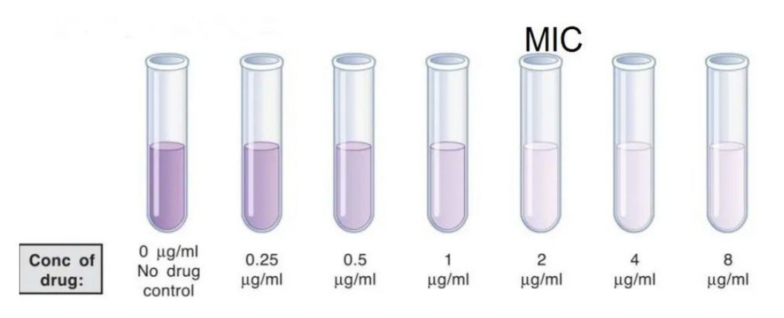 <p>the lowest concentration of a chemical that prevents growth of an organism</p><ul><li><p>add the same number of microbes to each tube, add increasing concentrations of a chemical, and evaluate growth</p></li></ul><p></p>