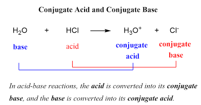 <p>Refers to the alternative theory</p><p>A pair of chemical formulas differing only by the presence of a hydrogen ion.</p><p>Forward : acid and base. Acid is donating, base is accepting. </p><p>These are valid reverse as well. Reverse would have different acid and different base. </p><p>Reverse: these different donors (acids) and bases (acceptors) you put “conjugate” in front of them</p>