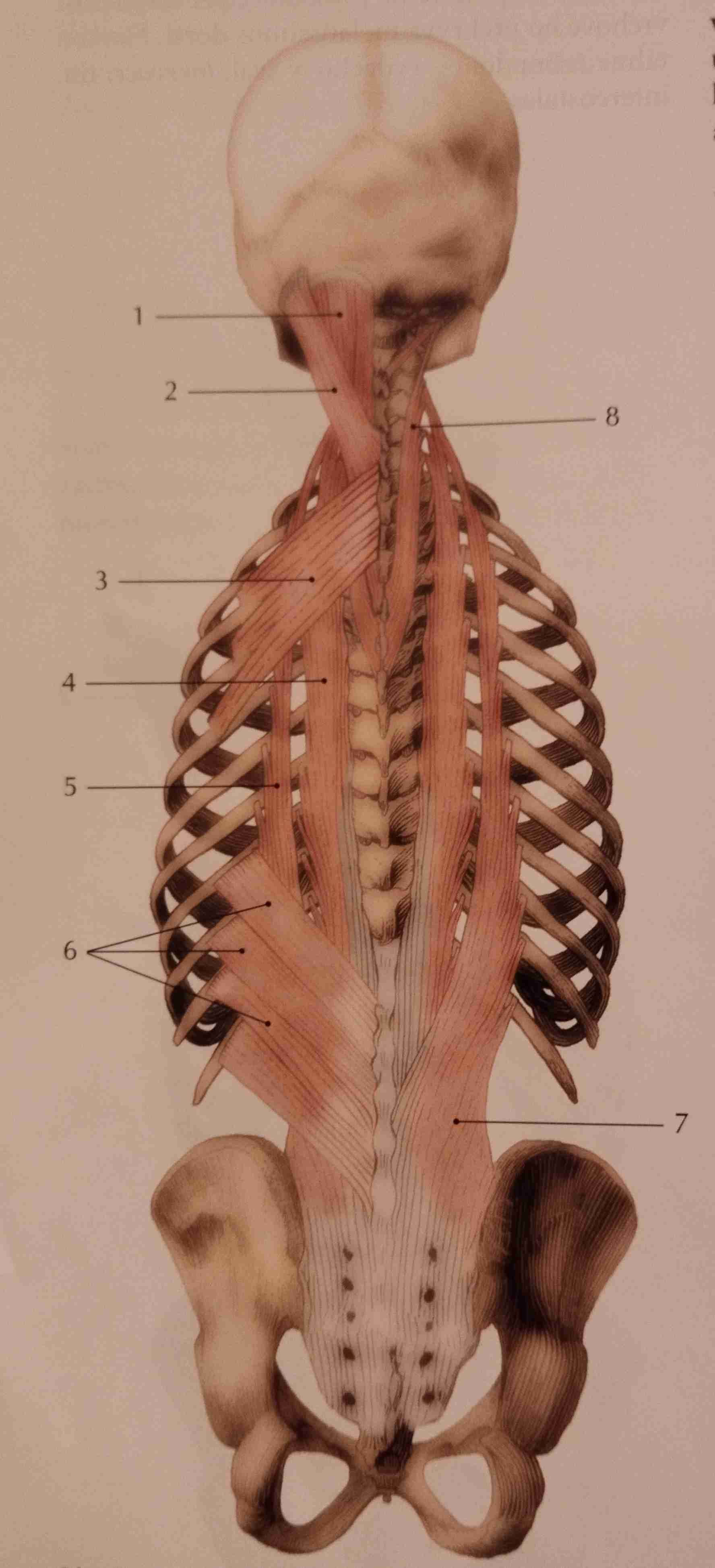 <p>3</p>