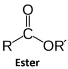 <p><span style="background-color: transparent;"><span>Carboxylic Acid derivative where -OH is replaced with -OR</span></span></p>