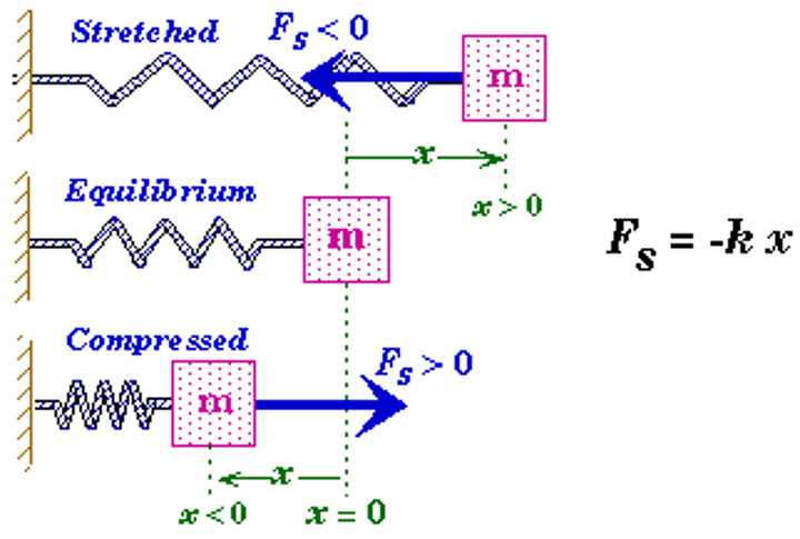 <p>The restoring force always point toward equilibrium - to restore the situation to equilibrium.<br><br>The magnitude of the force is given by Hooke's Law: Fs = kx</p>