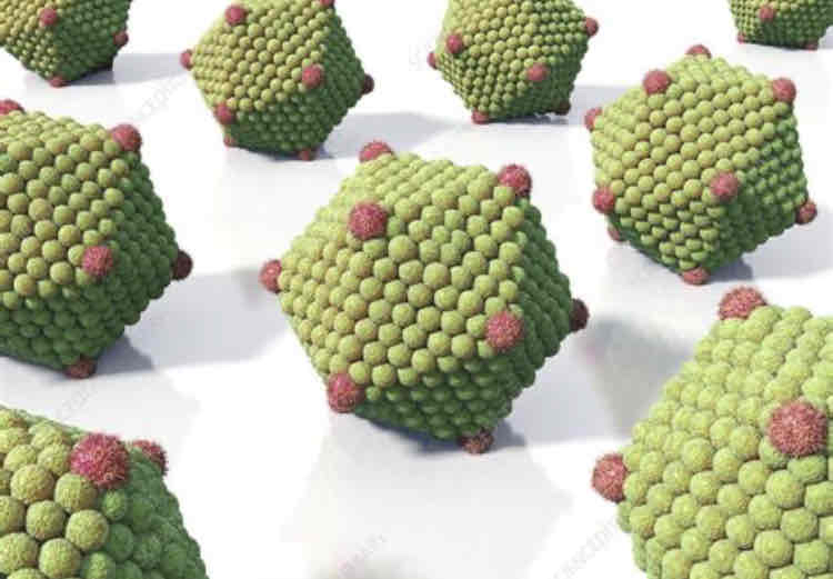 <p>Describe an icosahedral virus</p>