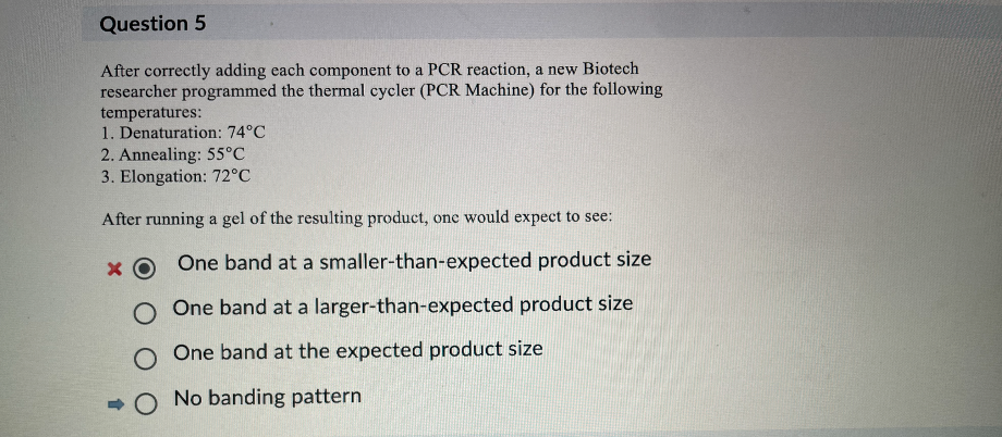 <p><strong>NO banding pattern.</strong></p><p></p><ul><li><p><span><span>The programmed denaturation temperature of </span></span><span style="font-family: KaTeX_Main, "Times New Roman", serif; line-height: 1.2; font-size: 1.21em;"><span>74∘C74∘</span><em><span>C</span></em></span><span><span> is significantly lower than the required </span></span><span style="font-family: KaTeX_Main, "Times New Roman", serif; line-height: 1.2; font-size: 1.21em;"><span>94−95∘C94−95∘</span><em><span>C</span></em></span></p></li><li><p><span><span>At this sub-optimal temperature, the double-stranded DNA template would not fully denature into single strands.</span></span></p></li><li><p><span><span>Without proper denaturation, the primers cannot anneal to their specific target sequences, and consequently, the DNA Taq Polymerase cannot synthesize new DNA strands during the elongation phase. </span></span></p></li><li><p><span><span>Therefore, no PCR product would be generated, resulting in no banding pattern visible on a gel.</span></span></p></li></ul><p></p>