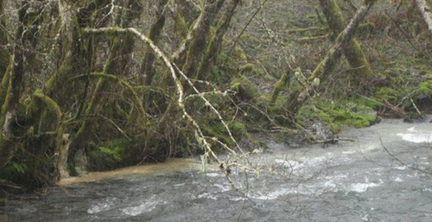 <p>The volume of water in the river, measured in cumecs (m3/sec).</p>