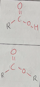 <p>Class: Carboxylic Acid<br>Example: Vinegar (CH3COOH)</p><p>Class: Ester<br>Example: Aromas, Flavours of fruit</p>