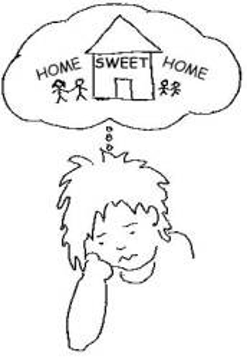 <p>homesickness / to be homesick</p>