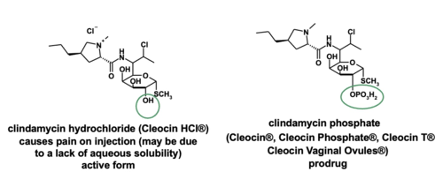 <p><strong>clindamycin phosphate prodrug</strong> eliminating pain on injection </p>