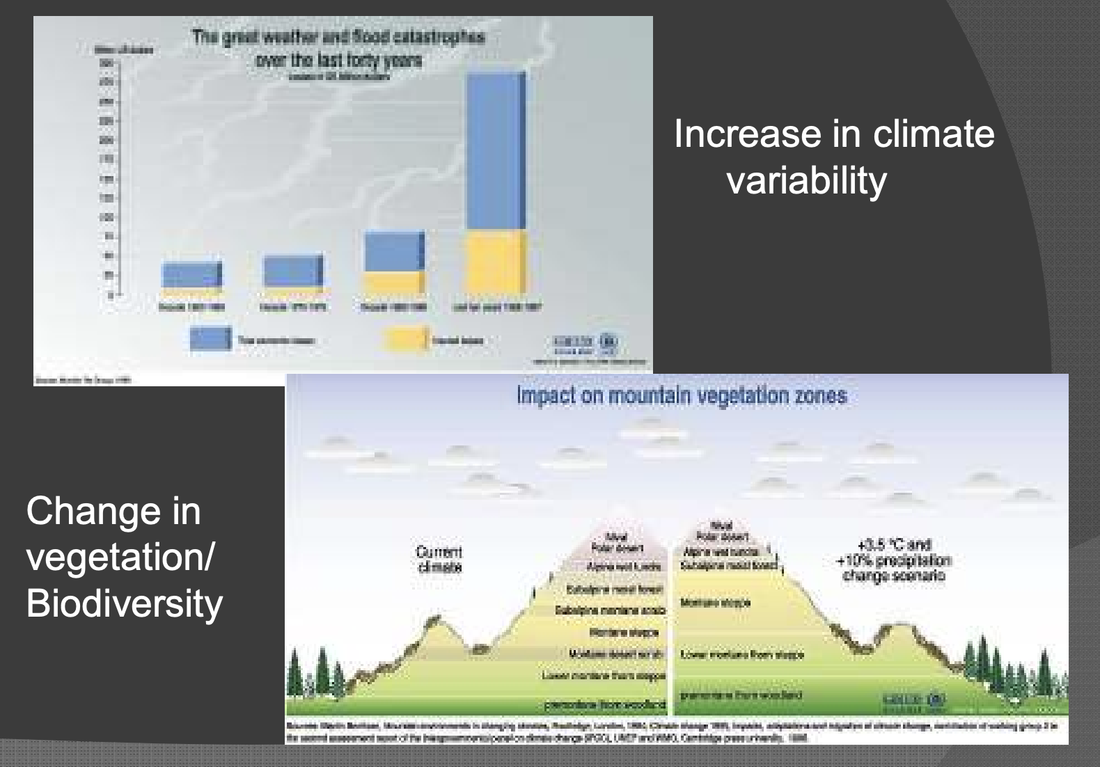 <p>Increase in climate variability </p><p>Change in vegetation/ Biodiversity</p>