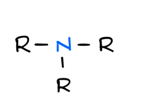 <p>nitrogen bonded to carbon(s) and/or hydrogen (–NH₂, –NHR, –NR₂)</p>
