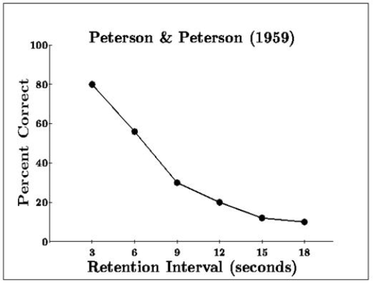 <p>tested duration of STM</p><p>participants were given a trigram (3 letters) and then told to count back from a 3 digit number until told to stop - could be for 3, 6, 9, 12, 15 or 18 seconds (retention interval)</p><p>they were then told to recall the trigram - recall was best after a retention interval of 3 seconds and worst for 18 seconds</p>