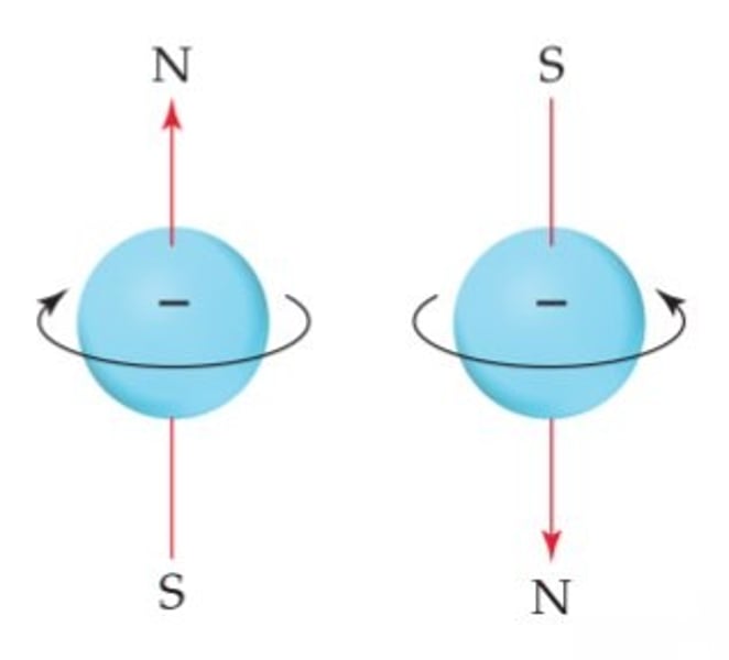 <p>- ms = 1/2 or -1/2</p><p>- indicates the spin orientation (+/- 1/2) of an electron in an orbital</p><p>- 2 e- in same orientation must spin in different directions (pos is upwards, neg is downwards)</p>