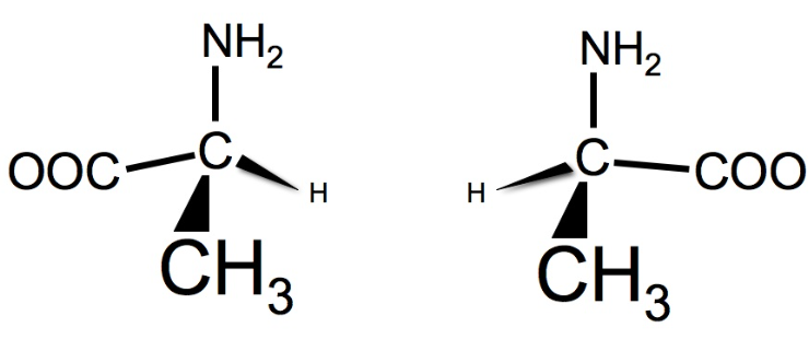 <p>The left structure is _ and the right structure is _</p>