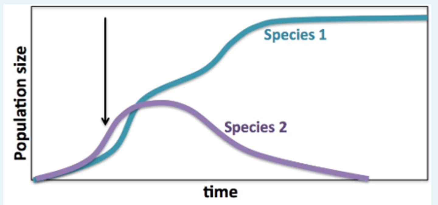 <p>Their population sizes are well below their carrying capacity.</p>