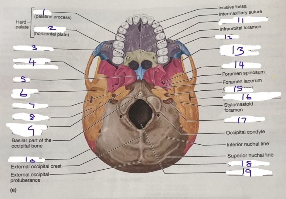 <p>15</p>
