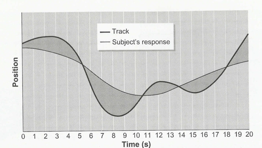 <p>overall error or spread of the movement across the duration of the performance.</p><p>used for continuous skills (no distinct beginning or end)</p>