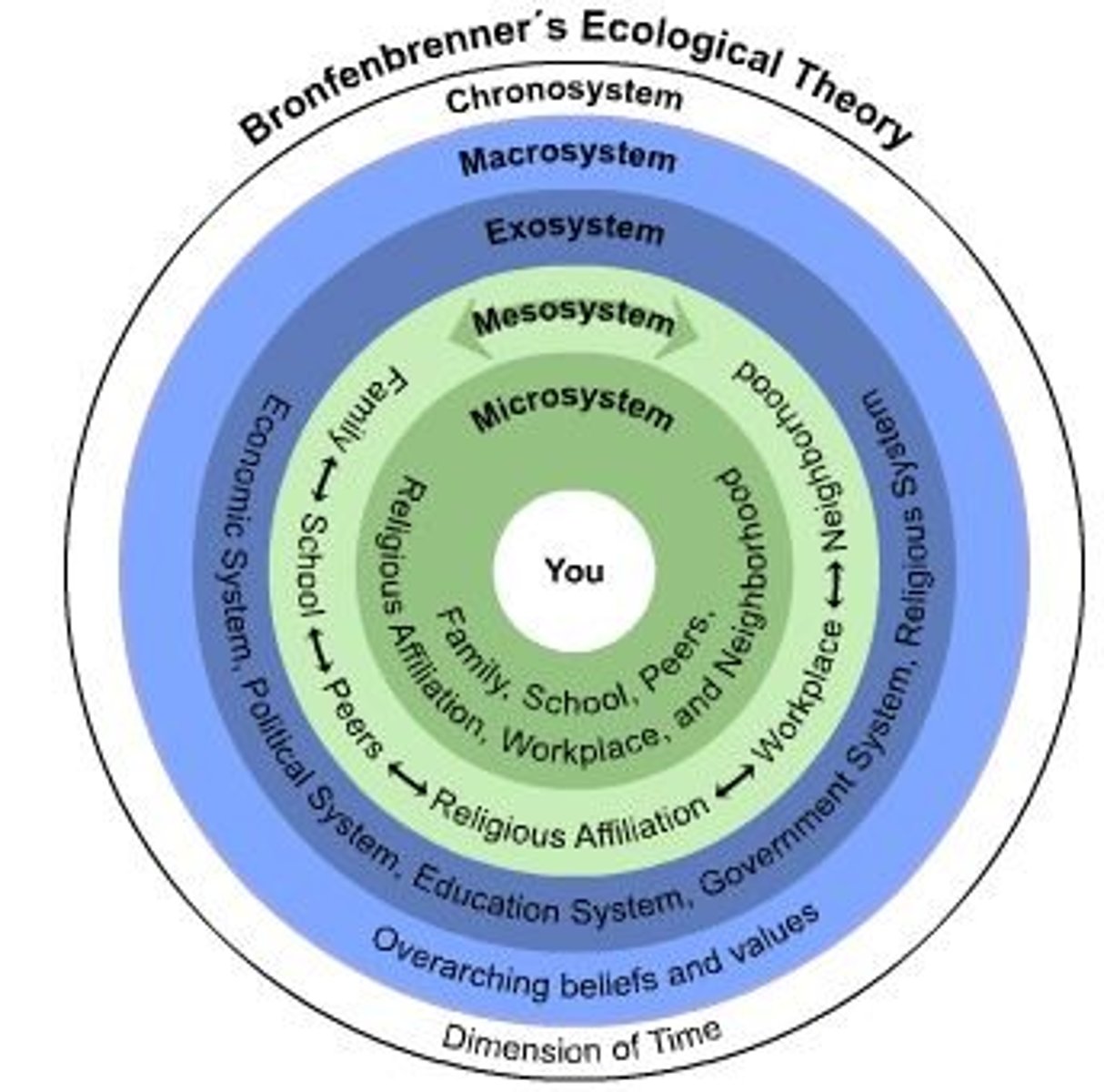 <p>in the bioecological model, indirect factors in an individuals life.</p>