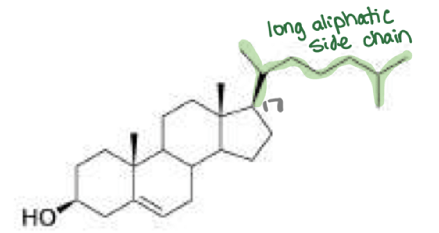 <p>What prototype endogenous agonist is this?</p>