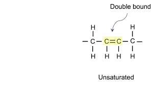 <p><span>fatty acids with one or more double bonds between carbon atoms in their hydrocarbon chain. </span></p><ul><li><p>Has C=C double donds</p></li><li><p>less hydrogen</p></li><li><p>bends hydrocarbon chains</p></li><li><p>liquid fats made of plants</p></li></ul><p></p>