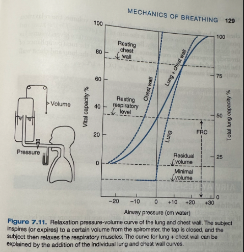 <ul><li><p><span>Subject inspires or expires from a spirometer and then relaxes the respiratory muscle while the airway pressure is measured ("relaxation pressure")</span></p></li><li><p><span>At FRC, the relaxation pressure of the lung plus chest wall is atmospheric</span></p><ul><li><p><span>FRC is the equilibrium volume when the elastic recoil of the lung is balanced by the normal tendency for the chest wall to spring out</span></p><ul><li><p><span>At volumes above this pressure is positive</span></p></li><li><p><span>At volumes below this, pressure is subatmospheric</span></p></li></ul></li></ul></li><li><p><span>At zero pressure, the lung is at its minimal volume, which is below RV</span></p></li><li><p><span>Chest wall alone</span></p><ul><li><p><span>At FRC, the relaxation pressure is negative so at this volume the chest cage is tending to spring out</span></p></li><li><p><span>It is not until the volume is increased to about 75% of the vital capacity that the relaxation pressure is atmospheric, the chest wall has found its equilibrium position</span></p></li></ul></li><li><p><span>At every volume, the relaxation pressure of the lung plus chest wall is the sum of the pressures for the lung and the chest wall measured separately</span></p><ul><li><p><span>The pressure (at a given volume) is inversely proportional to compliance, this implies that the total compliance of the lung and chest wall is the sum of the reciprocals of the lung and chest wall compliances measured separately</span></p><ul><li><p><span>1/C<sub>T</sub> = 1/C<sub>L</sub> + 1/C<sub>CW</sub></span></p></li></ul></li></ul></li></ul><p></p>