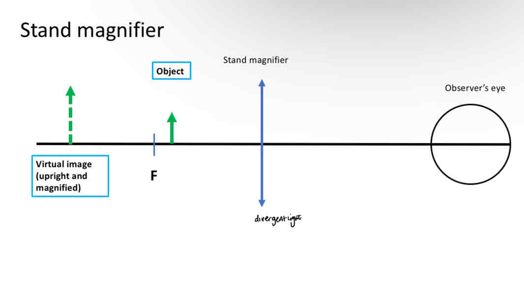 <p>Positive spherical lens </p><p>Distance between object and lens is set by the frame of the stand magnifier (kept at constant distance from a near task)</p><p>Usually shorter than the focal length of the lens </p><p>Forms a virtual image of the object </p>