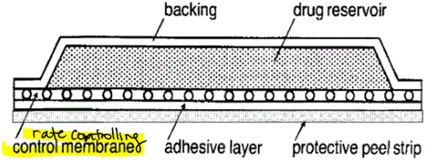 <p>- transderm-scop</p><p>- transderm-nitro</p><p>- clonidine-TTS</p><p>- estraderm</p><p>- androderm</p>