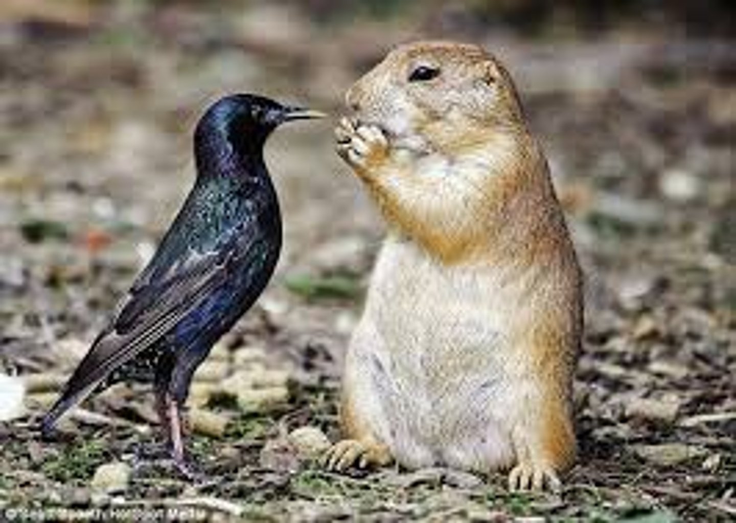 <p>To face sth / szembe néz</p>