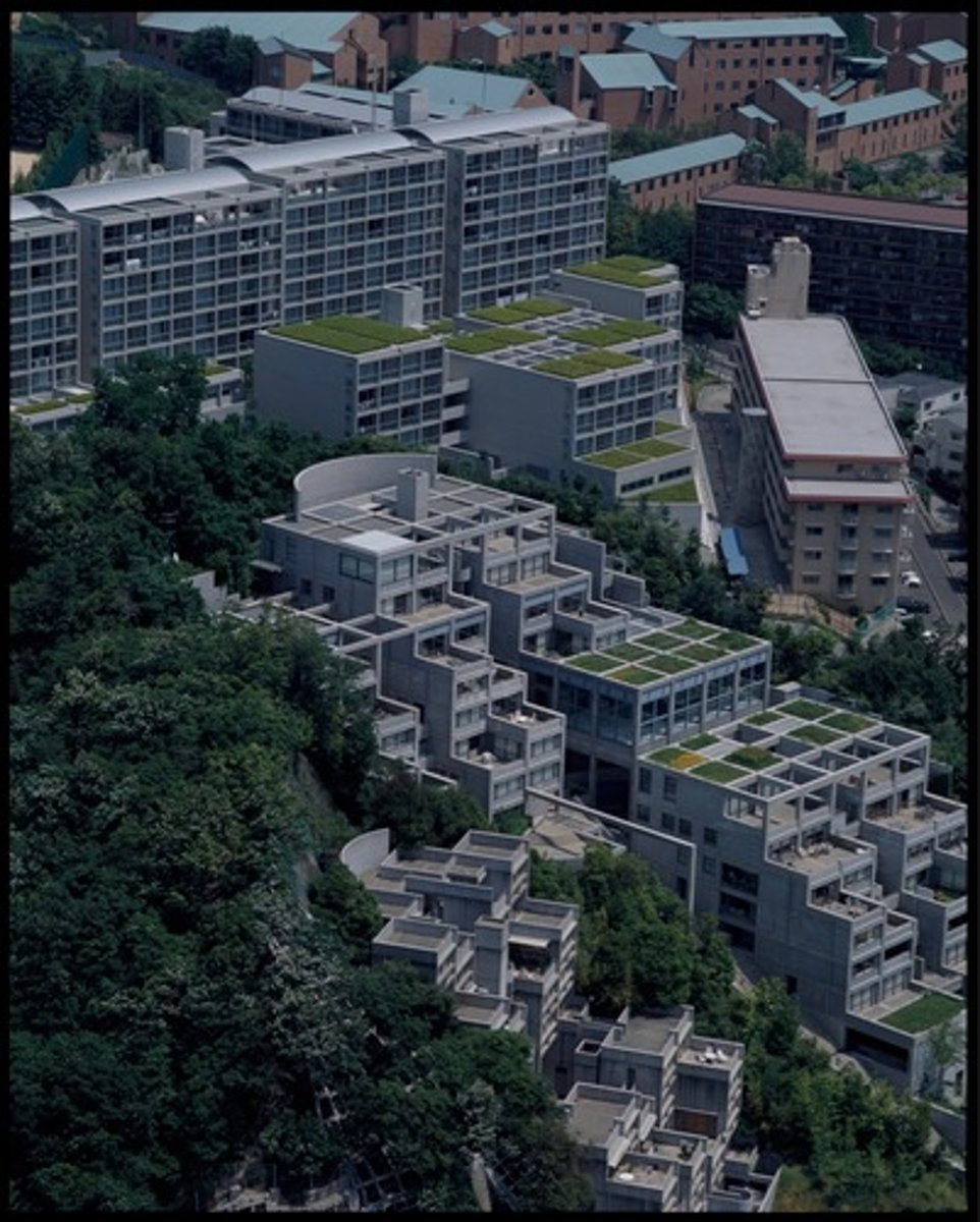 <p>Tadao Ando</p><p>(Neo Modernism)</p>