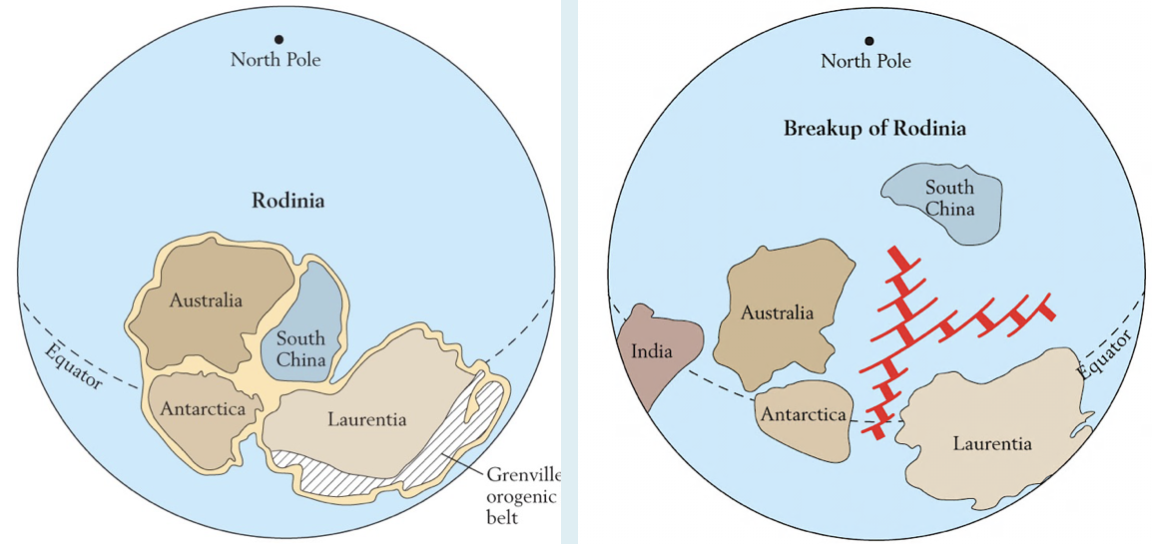 <p>What is this? Describe it.</p>