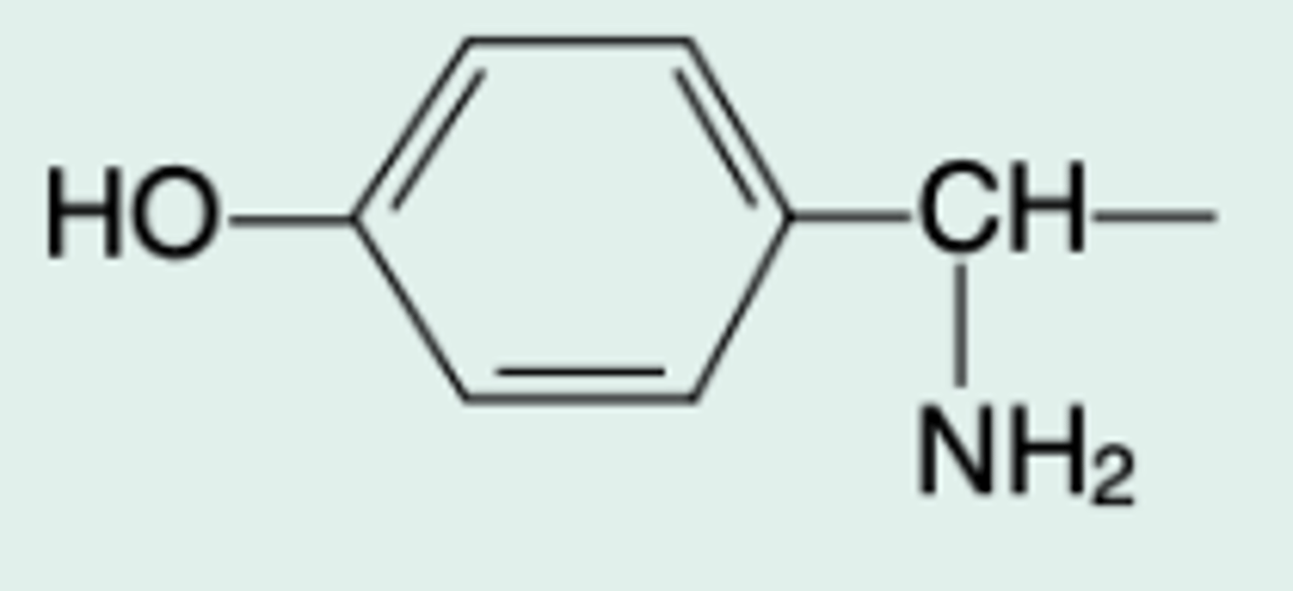 <p>Gen Name?</p>