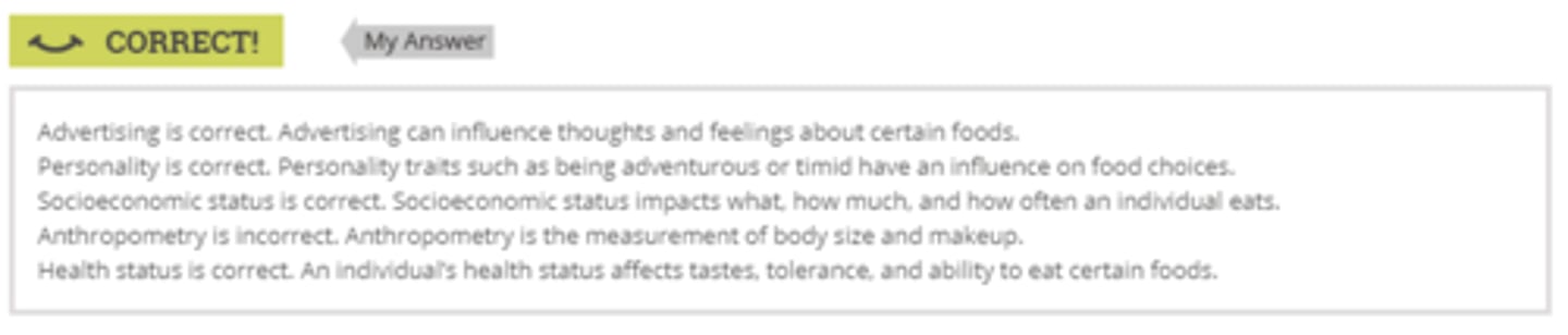 <p>Advertising</p><p>Personality</p><p>Socioeconomic status</p><p>Health status</p>